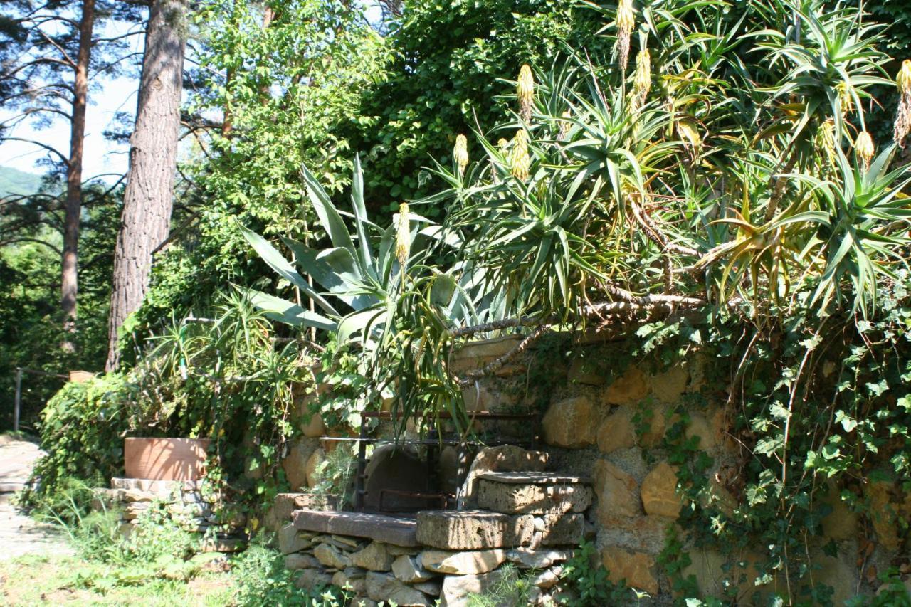 Cá de l’incantu Molini di Triora Exterior foto